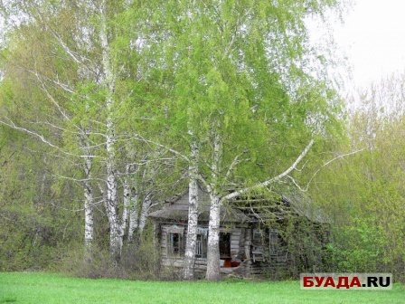 Заброшенная деревня Малое Фролово-12