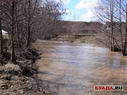 Степановский лес и далее-8