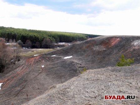 Степановский лес и далее-14