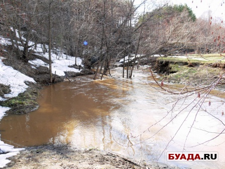 Степановский лес и далее-19