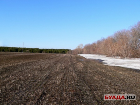 Степановский лес и далее-20