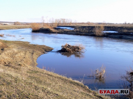 Степановский лес и далее-26