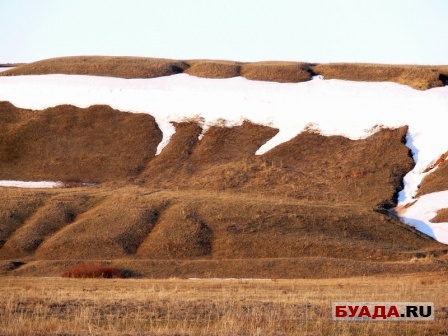 Степановский лес и далее-30