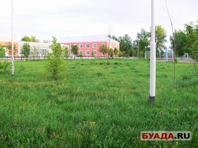 Фотография-3