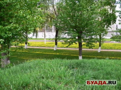 Фотография-14