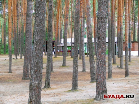 Лагерь БОР-4