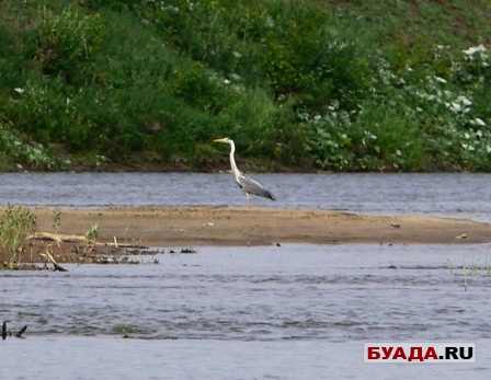 Сплав по р. Свияга, 2010.-16